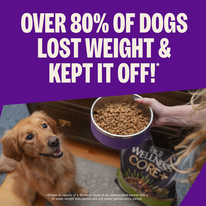 Wellness CORE Natural Grain Free Reduced Fat Weight Management Turkey & Chicken Recipe Dry Dog Food
