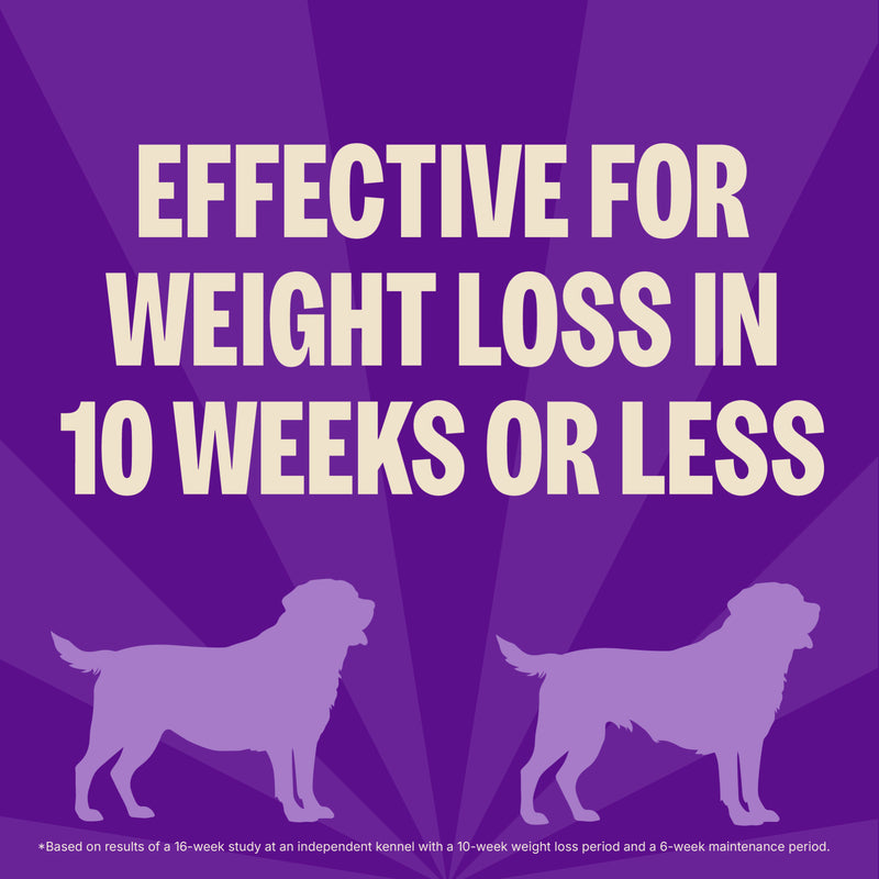 Wellness CORE Natural Grain Free Reduced Fat Weight Management Turkey & Chicken Recipe Dry Dog Food