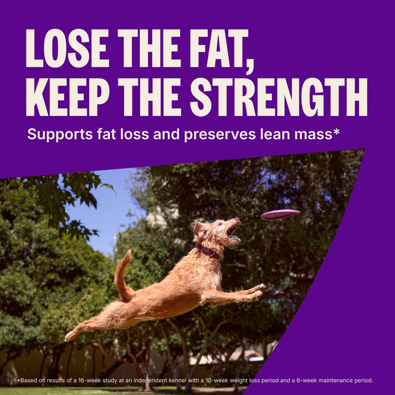 Wellness CORE Natural Grain Free Reduced Fat Weight Management Turkey & Chicken Recipe Dry Dog Food