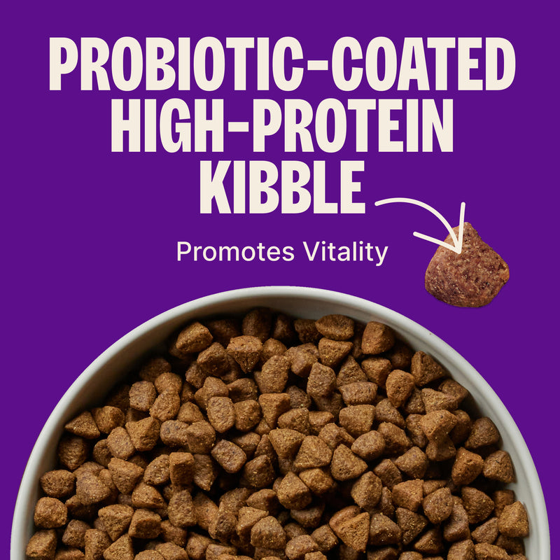 Wellness CORE Grain Free Natural Small Breed Health Turkey and Chicken Recipe Dry Dog Food