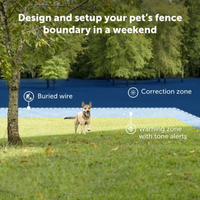 PetSafe 500 ft. Basic In-Ground Pet Fence System