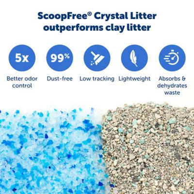 PetSafe Scoop-Free Crystal Disposable Cat Litter Tray, Fresh Scent, 1 pk.