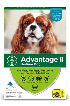 Advantage II Medium Dog 6-Pack