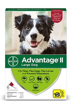 Advantage II Large Dog 6-Pack