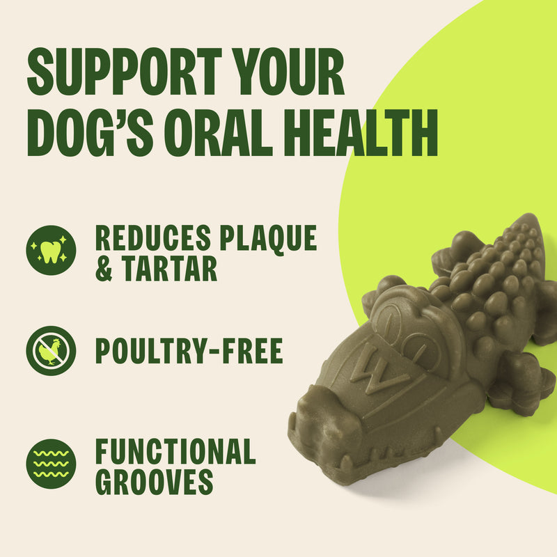 Whimzees Alligator Dental Dog Treats