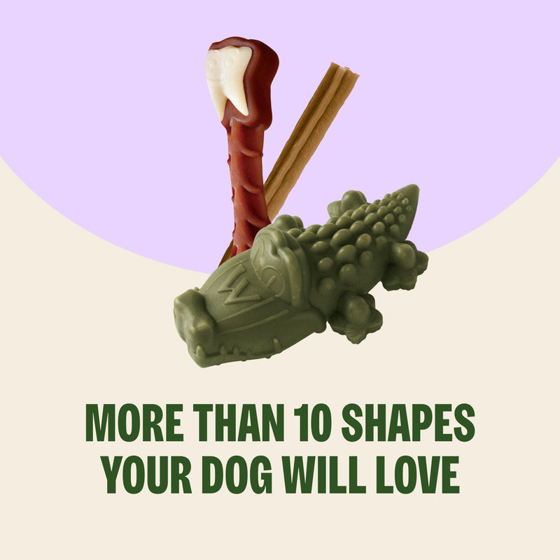 Whimzees Alligator Dental Dog Treats