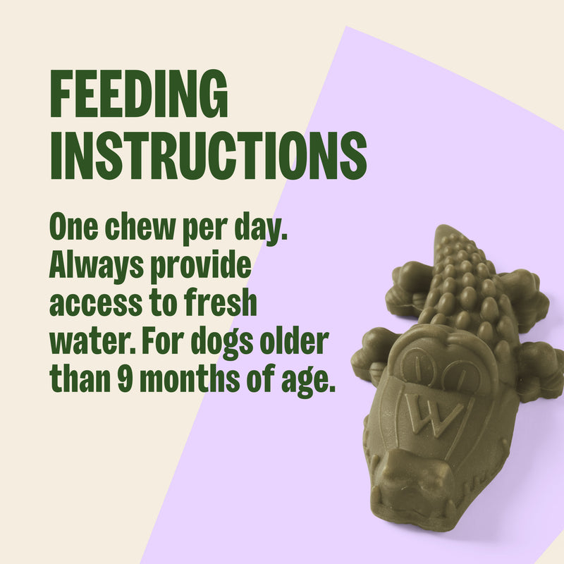 Whimzees Alligator Dental Dog Treats