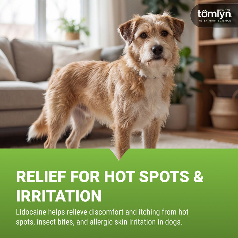 Tomlyn Allercaine Spray for Dogs