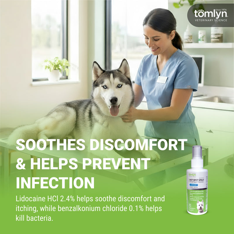 Tomlyn Allercaine Spray for Dogs