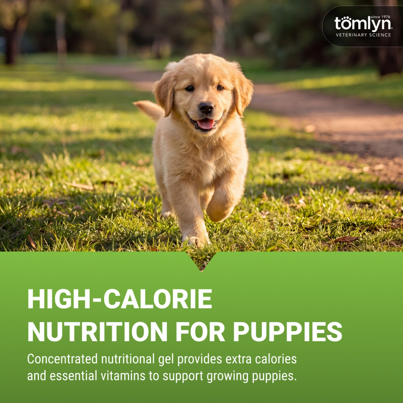 Tomlyn Nutri-Cal Puppy Malt-Flavored High-Calorie Nutritional Gel for Puppies, Helps Support a Healthy Appetite for Puppies Providing extra Calories, Vitamins, and Minerals in a Tasty Supplement, 4.25oz.