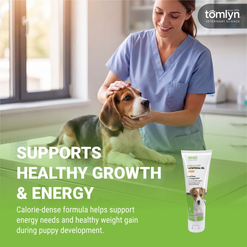 Tomlyn Nutri-Cal Puppy Malt-Flavored High-Calorie Nutritional Gel for Puppies, Helps Support a Healthy Appetite for Puppies Providing extra Calories, Vitamins, and Minerals in a Tasty Supplement, 4.25oz.