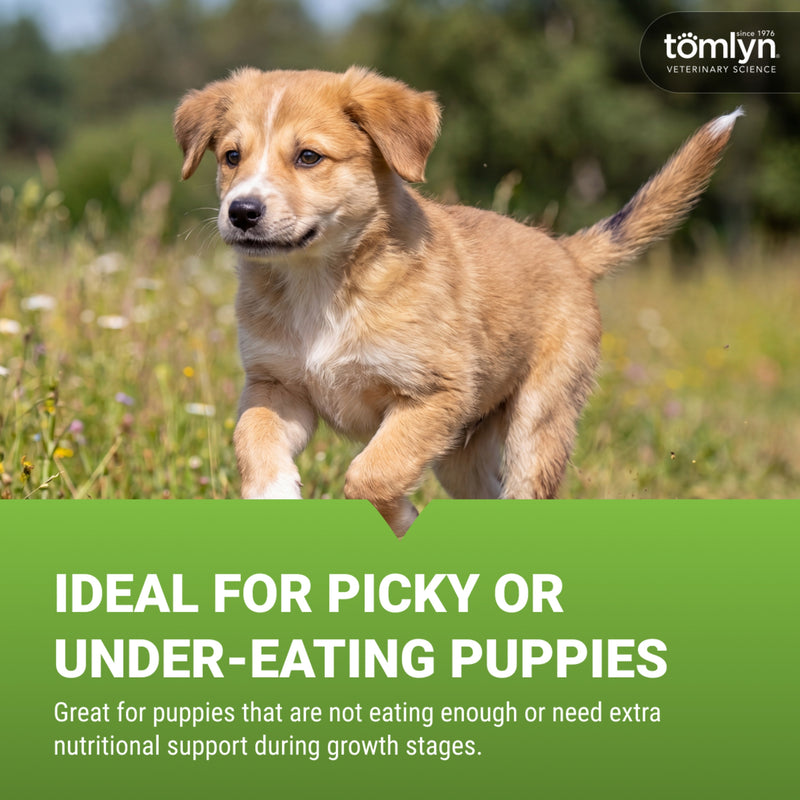 Tomlyn Nutri-Cal Puppy Malt-Flavored High-Calorie Nutritional Gel for Puppies, Helps Support a Healthy Appetite for Puppies Providing extra Calories, Vitamins, and Minerals in a Tasty Supplement, 4.25oz.