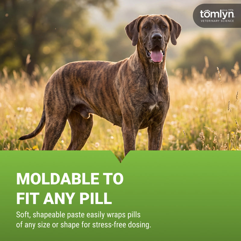 Tomlyn Pill Masker Bacon Flavor Paste for Dogs and Cats, Helps Hide the Taste and Smell of Capsules, Wafers, Tablets, and Liquid Drops, over 50 Servings Per Container