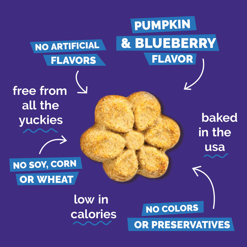 Fruitables Pumpkin & Blueberry Flavor Crunchy Dog Treats