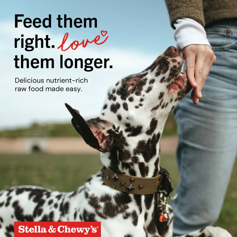 Stella & Chewy's Frozen Raw Dinner Patties for Dogs - Dandy Lamb - 6 lb.