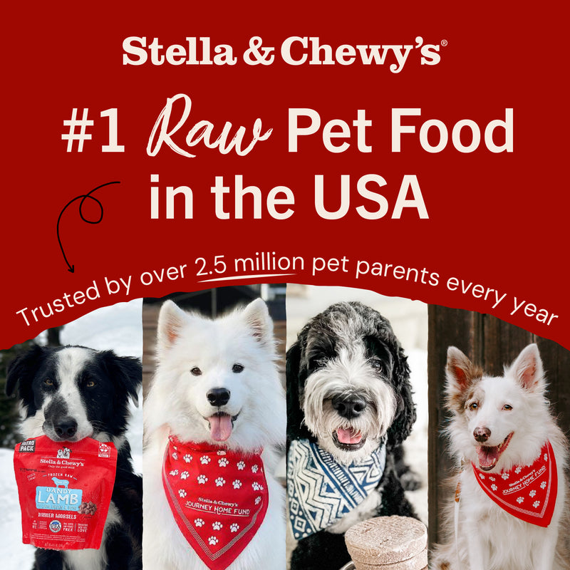 Stella & Chewy's Frozen Raw Dinner Patties for Dogs - Stella's Super Beef - 6 lb.