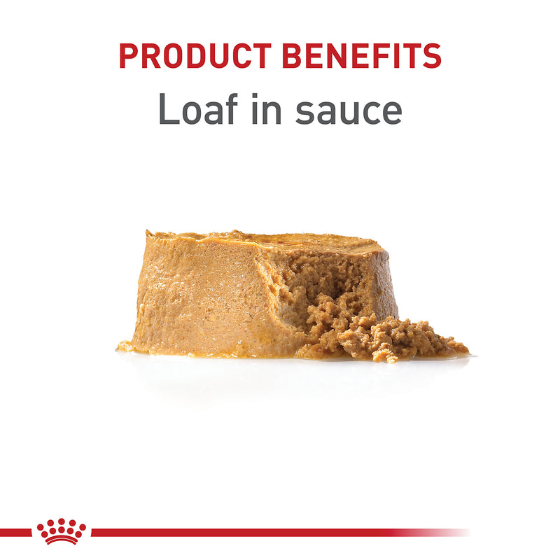 Royal Canin Canine Health Nutrition™ Puppy Loaf In Sauce Canned Dog Food, 5.2 oz