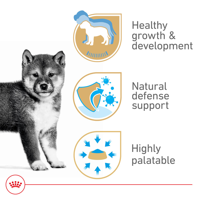 Royal Canin Canine Health Nutrition™ Puppy Loaf In Sauce Canned Dog Food, 5.2 oz