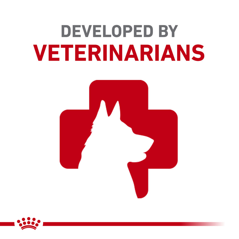 Royal Canin Canine Health Nutrition Beauty Adult Loaf in Sauce Canned Dog Food, 5.2 oz