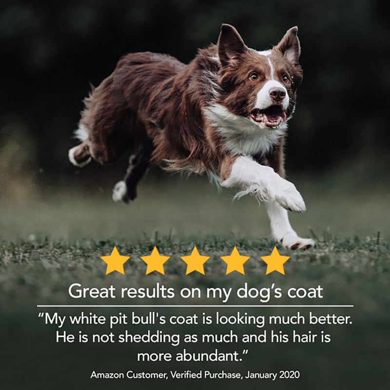 Nutri-Vet Fish Oil Soft Gels 100 Count