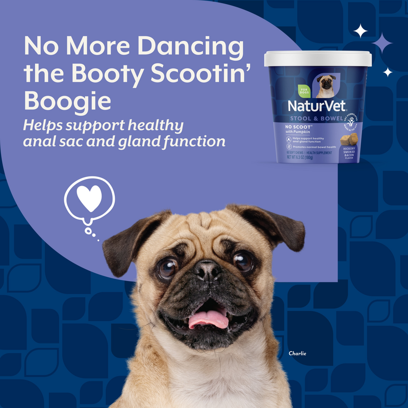 NaturVet No Scoot Stool & Bowel Supplement for Dogs, Hickory Smoked Bacon Flavor, 60 Count