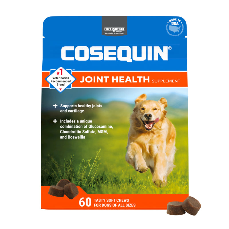 Nutramax Cosequin DS Plus MSM Professional Line for Dogs, 60 Soft Chews