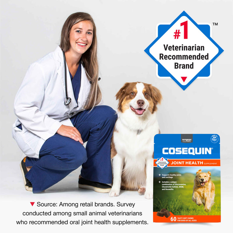 Nutramax Cosequin DS Plus MSM Professional Line for Dogs, 60 Soft Chews