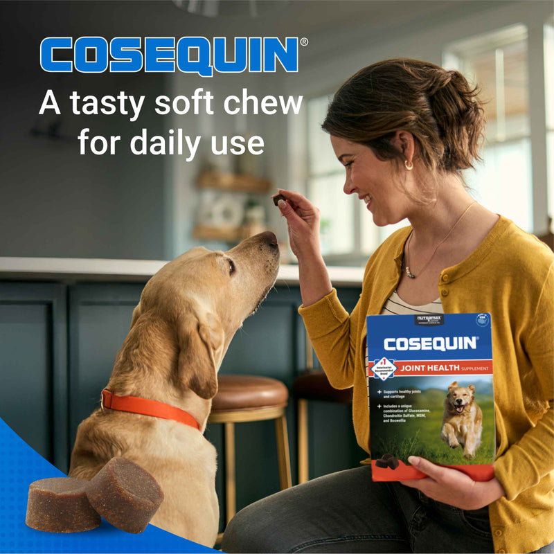 Nutramax Cosequin DS Plus MSM Professional Line for Dogs, 60 Soft Chews