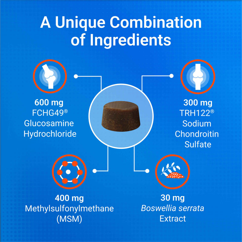 Nutramax Cosequin DS Plus MSM Professional Line for Dogs, 60 Soft Chews