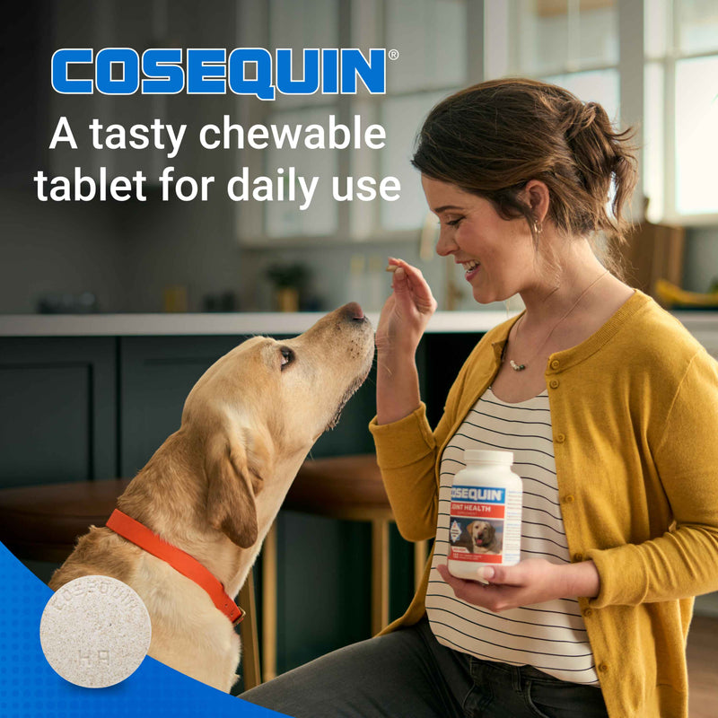 Nutramax Cosequin Maximum Strength Plus MSM & HA Chewable Tablets for Dogs, Count of 60