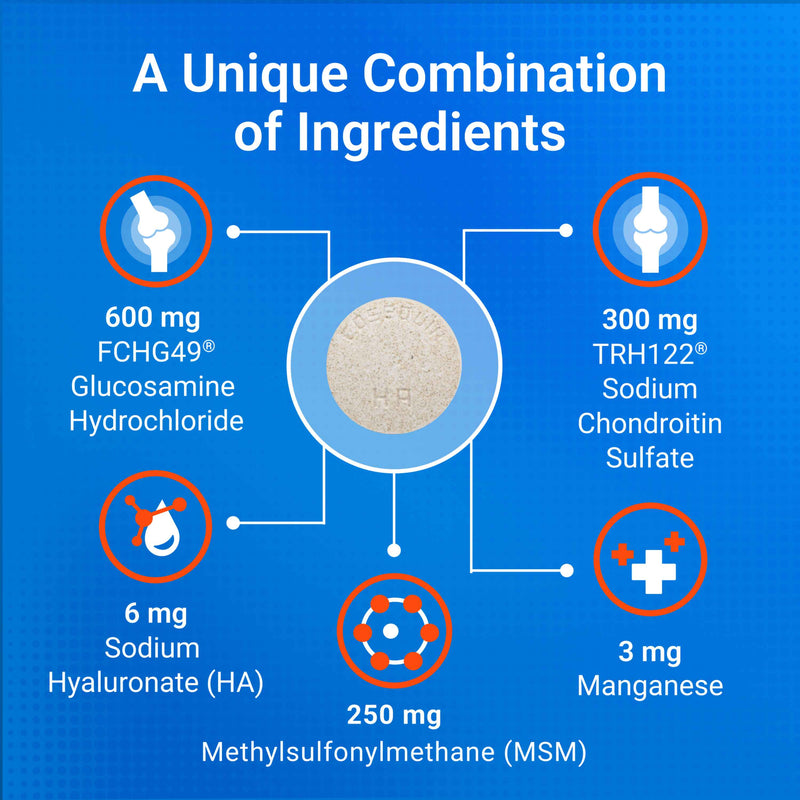 Nutramax Cosequin Maximum Strength Plus MSM & HA Chewable Tablets for Dogs, Count of 60