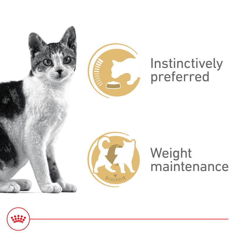 Royal Canin® Feline Health Nutrition™ Adult Instinctive Thin Slices In Gravy Canned Cat Food, 3 oz