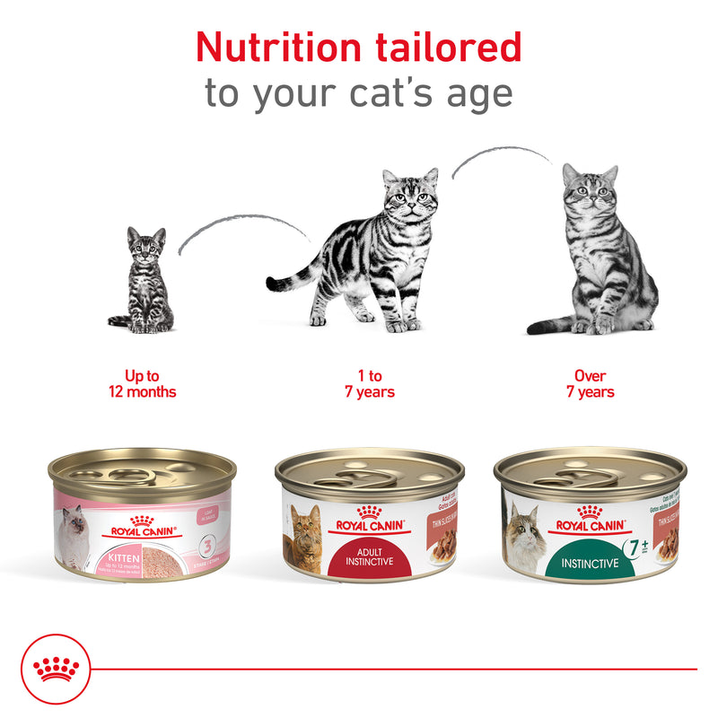 Royal Canin® Feline Health Nutrition™ Adult Instinctive Thin Slices In Gravy Canned Cat Food, 3 oz