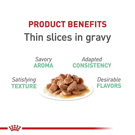Royal Canin Digestive Care Adult Thin Slices in Gravy Wet Cat Food, 3 oz.