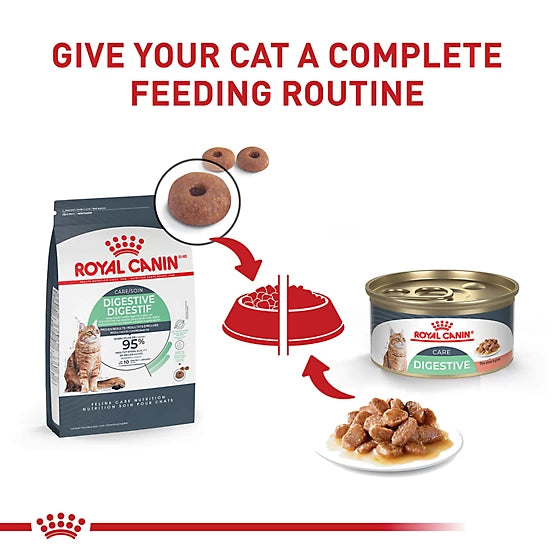 Royal Canin Digestive Care Adult Thin Slices in Gravy Wet Cat Food, 3 oz.