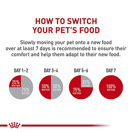 Royal Canin Digestive Care Adult Thin Slices in Gravy Wet Cat Food, 3 oz.