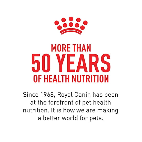 Royal Canin Digestive Care Adult Thin Slices in Gravy Wet Cat Food, 3 oz.