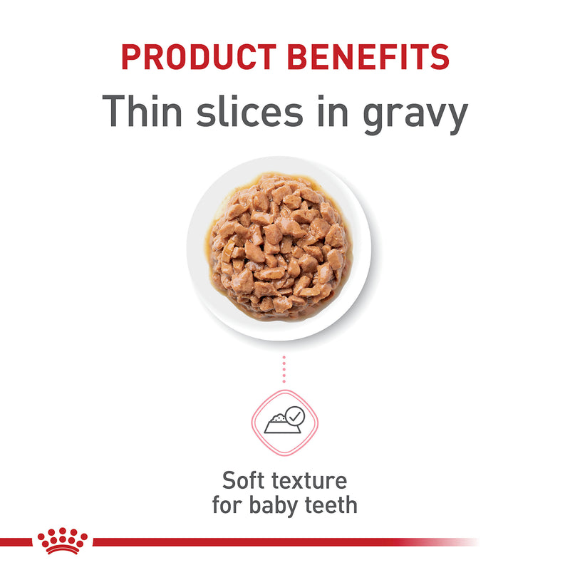 Royal Canin® Feline Health Nutrition™ Kitten Thin Slices In Gravy Canned Cat Food, 3 oz
