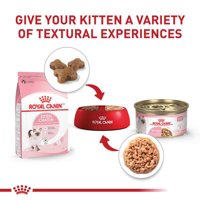 Royal Canin® Feline Health Nutrition™ Kitten Thin Slices In Gravy Canned Cat Food, 3 oz