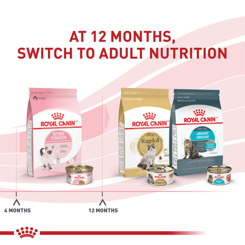Royal Canin® Feline Health Nutrition™ Kitten Thin Slices In Gravy Canned Cat Food, 3 oz