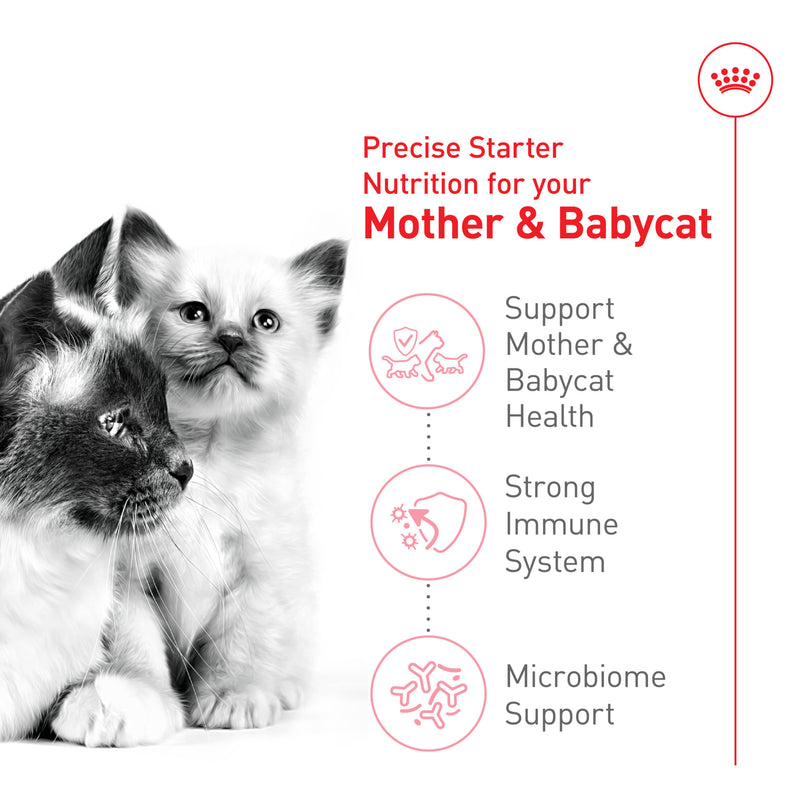 Royal Canin® Feline Health Nutrition™ Mother & Babycat Dry Cat Food, 3 lb