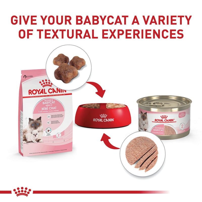 Royal Canin® Feline Health Nutrition™ Mother & Babycat Dry Cat Food, 3 lb