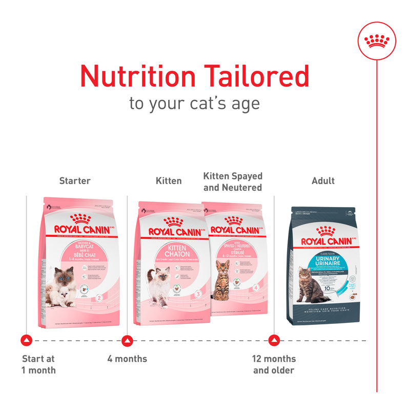 Royal Canin® Feline Health Nutrition™ Mother & Babycat Dry Cat Food, 3 lb
