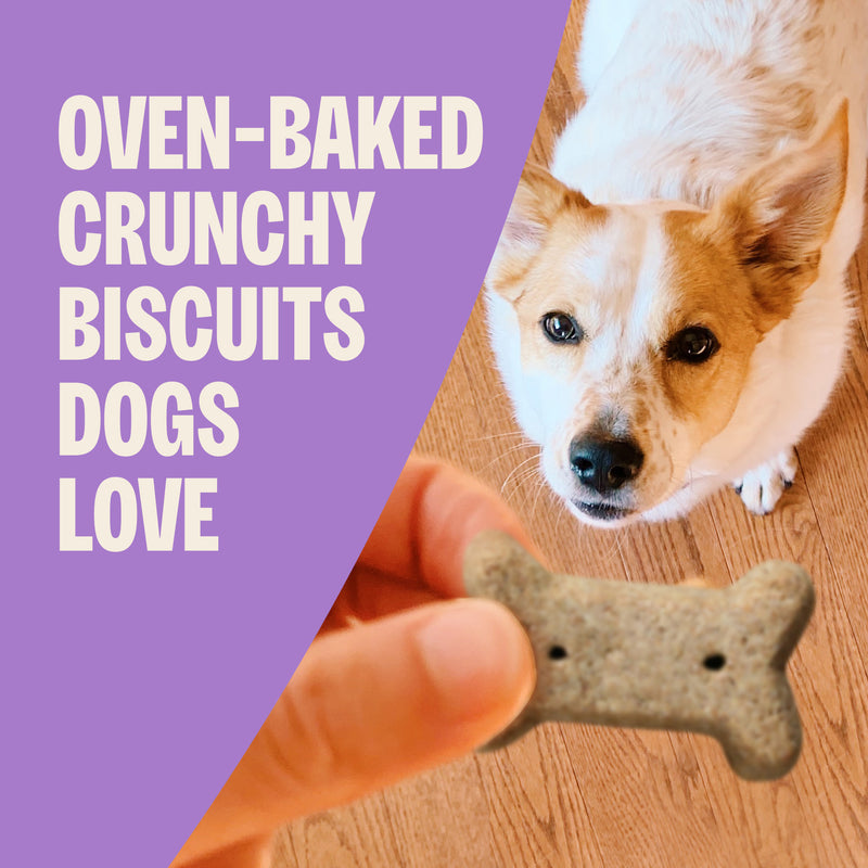 Old Mother Hubbard Crunchy Classic Natural Original Assortment Small Biscuits Dog Treats