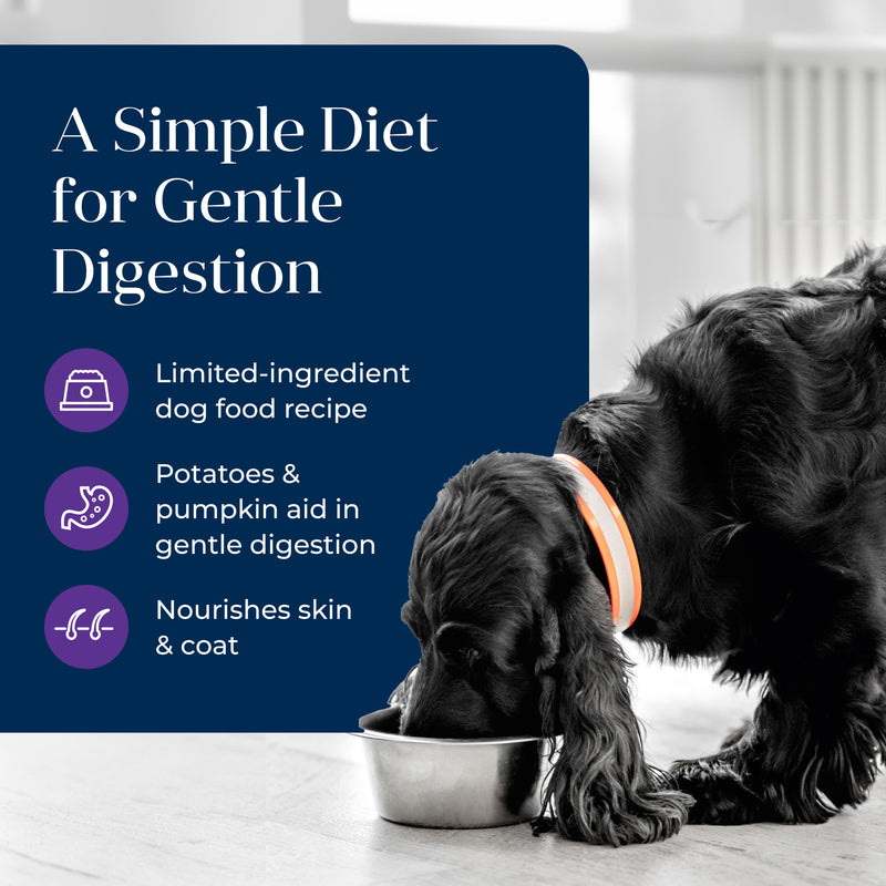 Blue Buffalo Basics Grain-Free Adult Wet Dog Food, Skin & Stomach Care, Limited Ingredient Diet, Turkey Recipe, 12.5-oz. Can