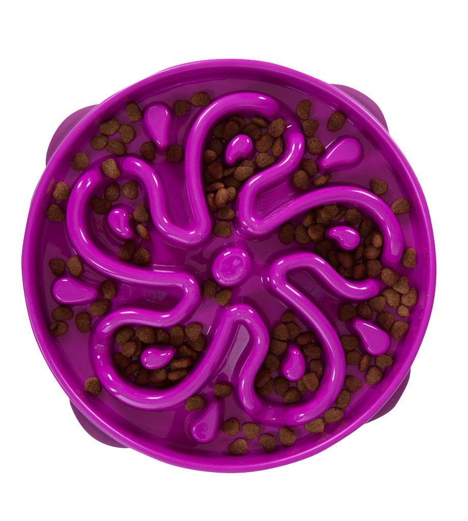 Outward Hound Purple Dog Slow Feeder Bowl, Large – Petsense