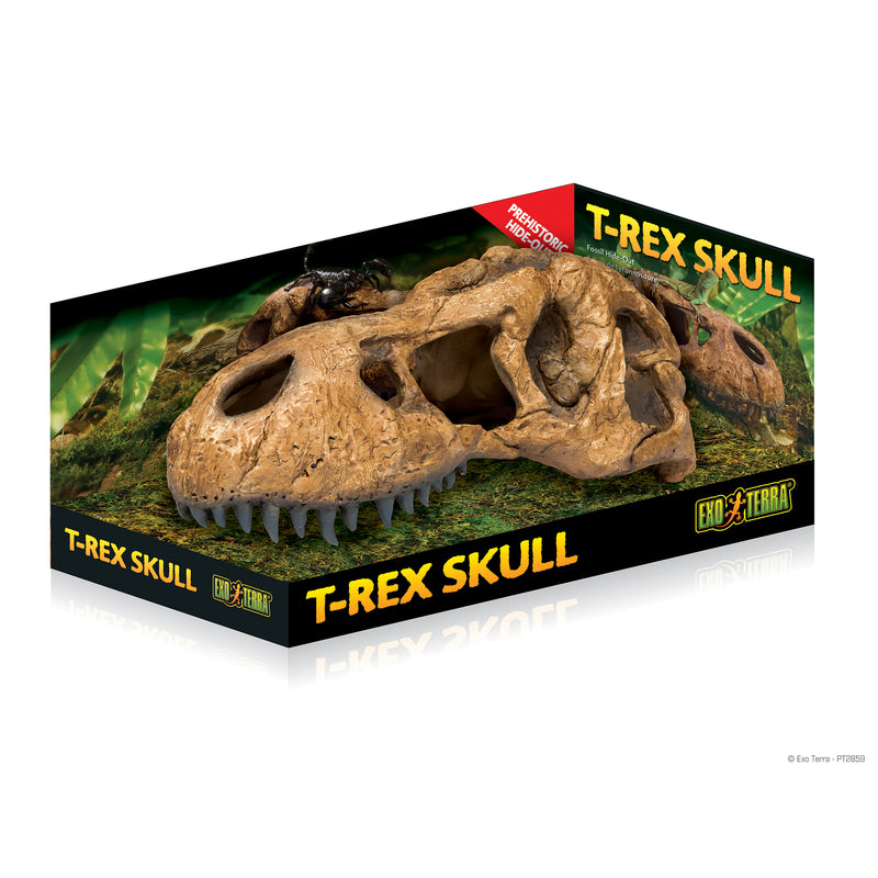 Exo-Terra T-Rex Skull-Fossil Hide Out