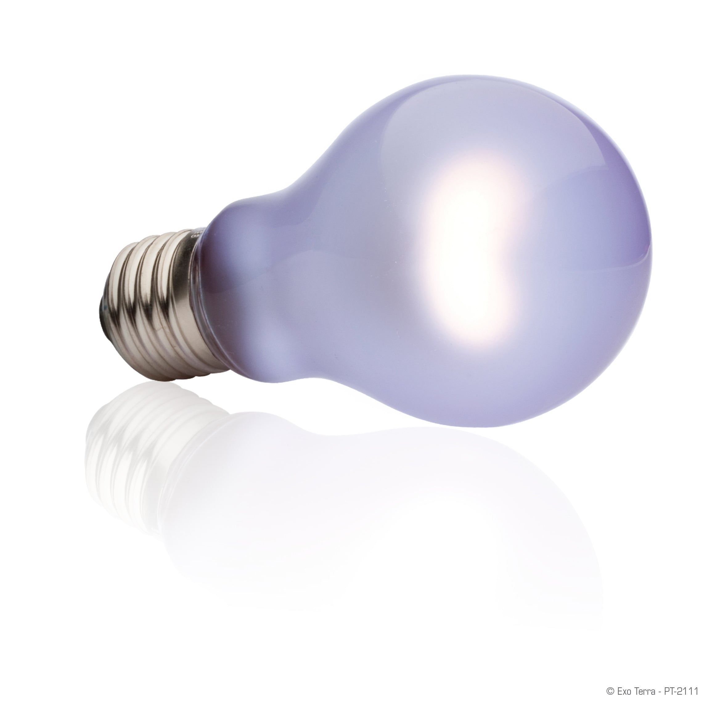 Exo Terra Daytime Heat Lamp, 100W – Petsense