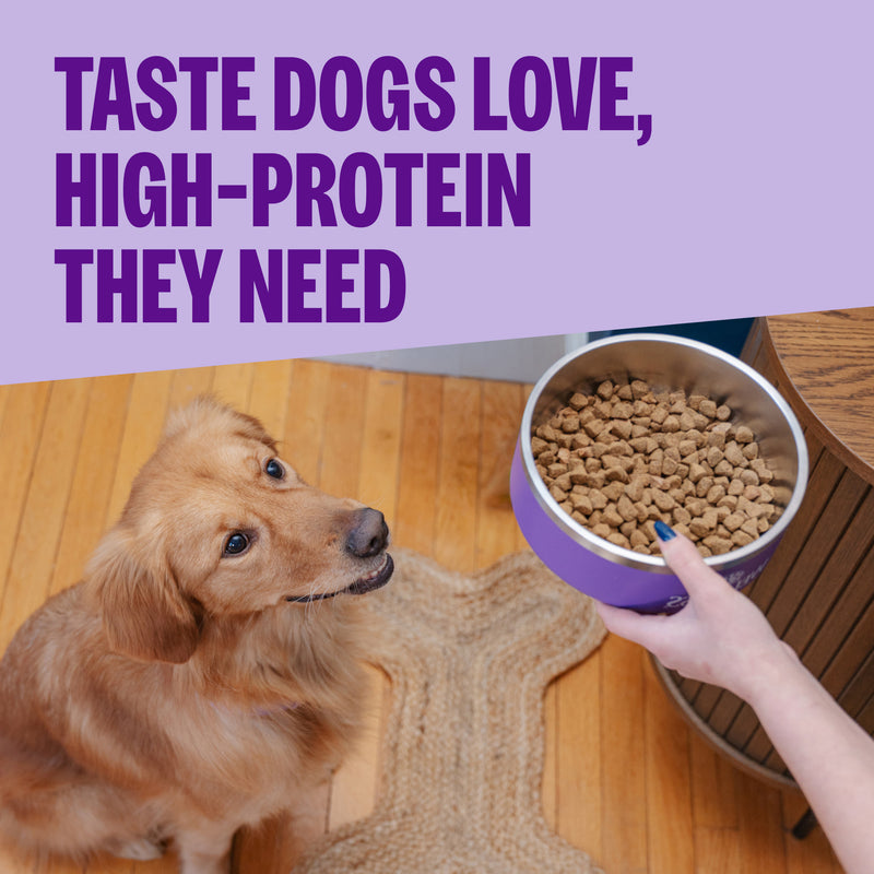 Wellness CORE Natural Grain Free Ocean Whitefish, Herring & Salmon Recipe Dry Dog Food
