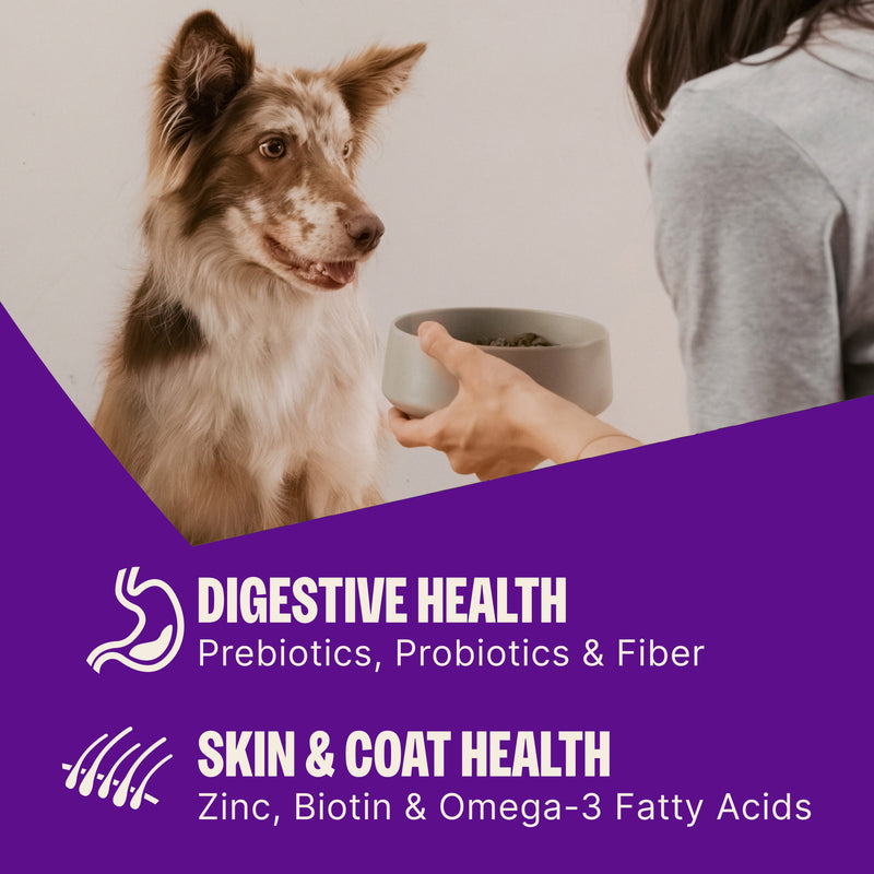Wellness CORE Natural Grain Free Ocean Whitefish, Herring & Salmon Recipe Dry Dog Food